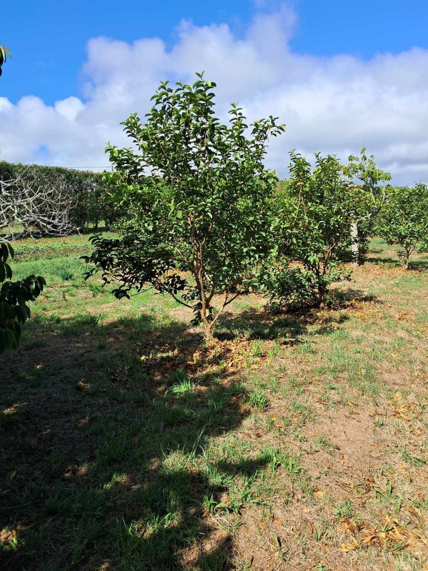 Quinta Do Norte Alloggio in famiglia
